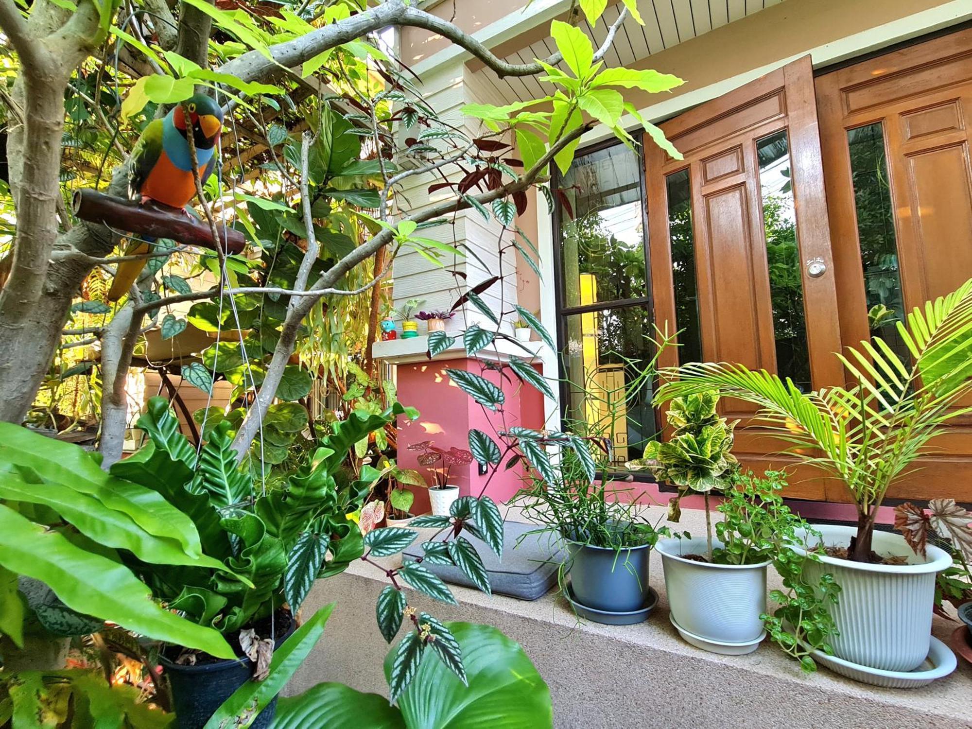 Bed&Terrace Guesthouse Chiang Mai Værelse billede